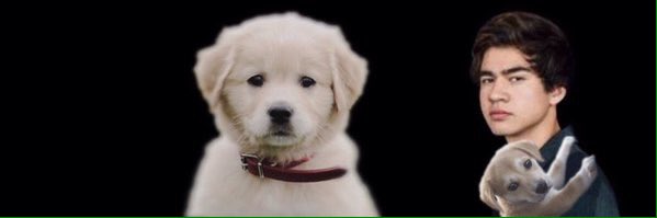 69JARVYS's tweet image. @Luke5SOS @Ashton5SOS @Calum5SOS fucking match michael