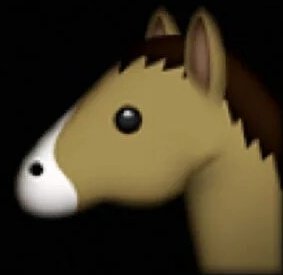 5SOSTumblrx's tweet image. 5sos fandom vs other fandoms