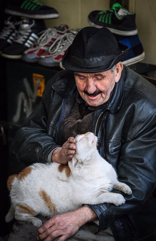İkinci el ayakkabı Mehmet Yavuz ve kedisi Osman'a kazanç kapısı birgun.net/haber-detay/ik…