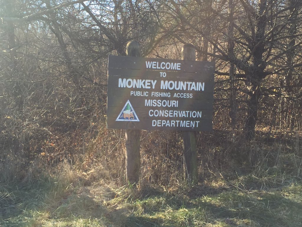 TfxcmanVaughn's tweet image. Today's hike brought to you by the letters MM!! As in Monkey Mountain conservation area #monkeymountain