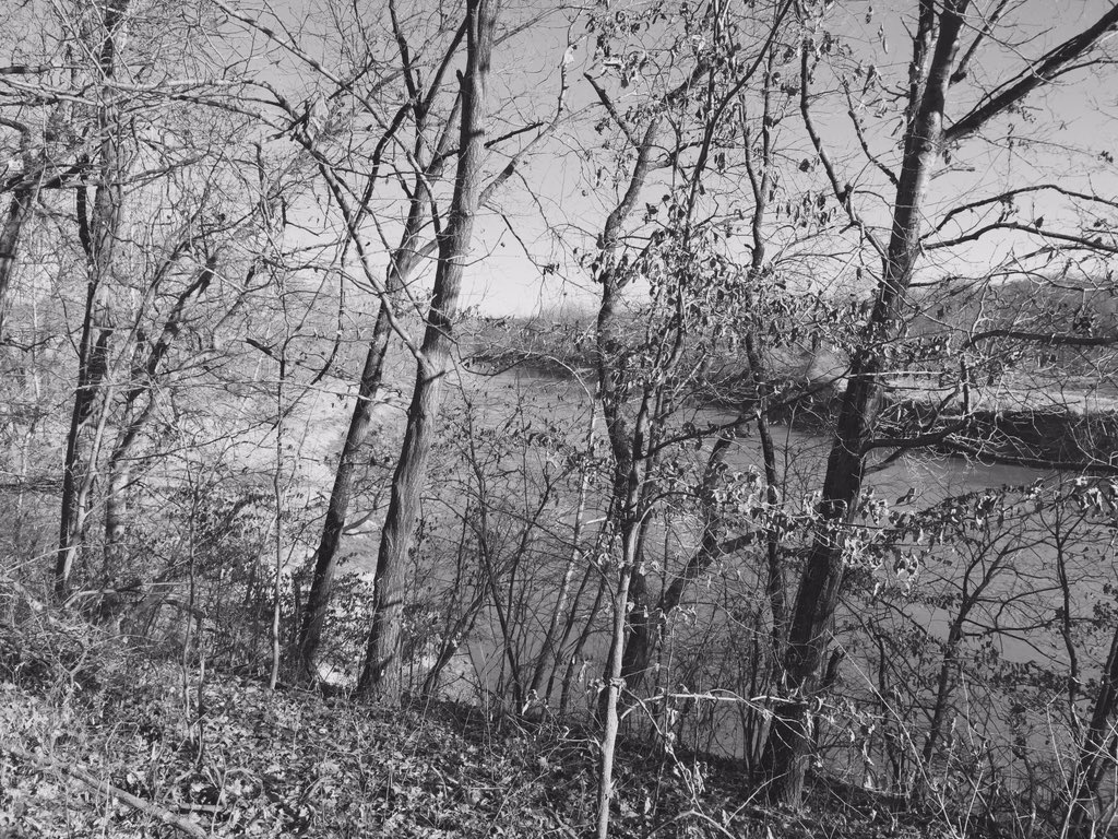 TfxcmanVaughn's tweet image. Today's hike brought to you by the letters MM!! As in Monkey Mountain conservation area #monkeymountain