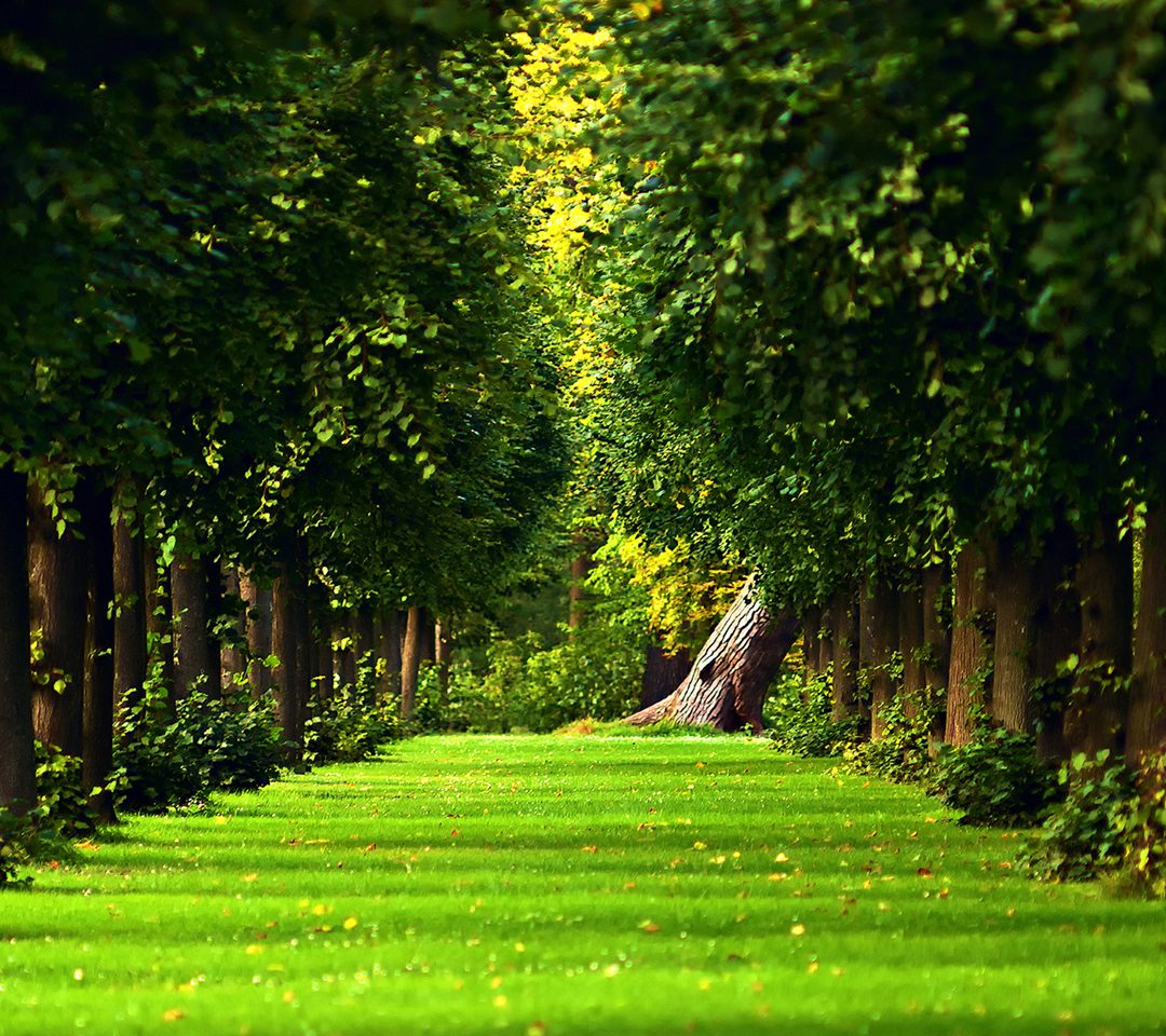 #####لا اله الا انت سبحانك اللهم اني استغفرك واتوب اليك….. #####