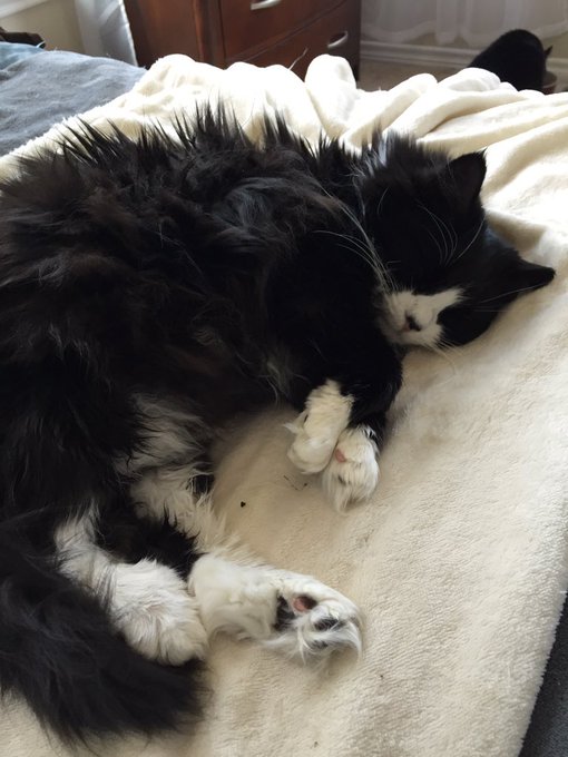 mood https://t.co/MMJi9xWl5j