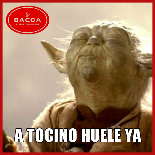 BacoaHumo's tweet photo. ¡Vengan a conocer nuestra nueva casa en Alvaro Obregón 120! #BacoaHumo #RomaNorte https://t.co/ZCBdYbFdCv