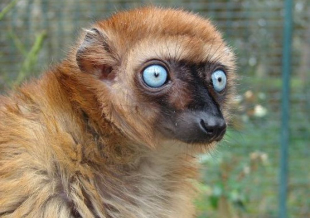 - Tu regardes #MissFrance2016 ? Ça se passe bien ?
- Hé ben regarde, Sylvie Tellier a l'air d'être en pleine forme.