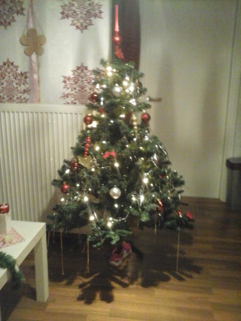 LeonieKnoblich's tweet photo. #shirinsxmastree tada https://t.co/WSG2hpChfj