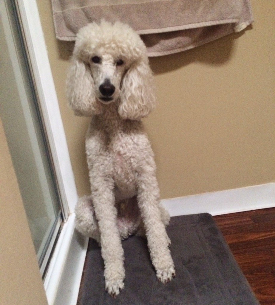 What are you lookin' at? 👀