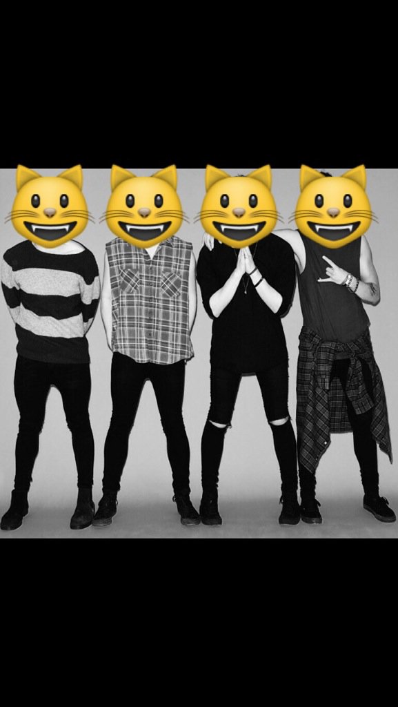 bralixxha's tweet photo. @Michael5SOS #CatsForMichael https://t.co/8YE9vmqhkD