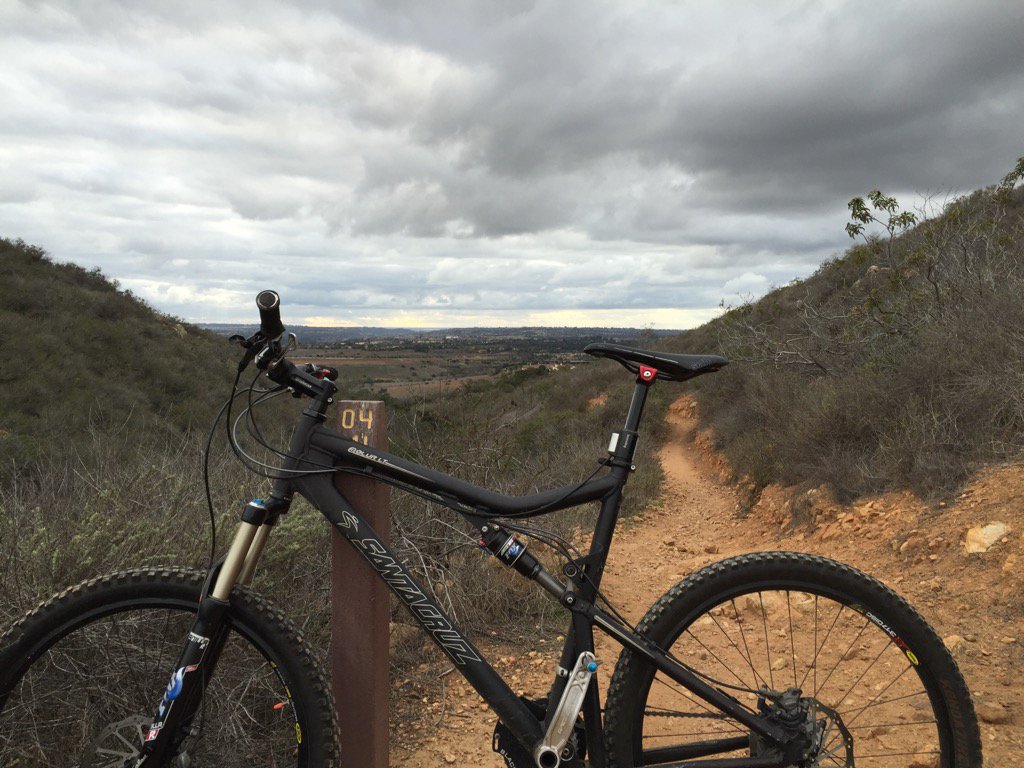 Mark Tripiano tweet media