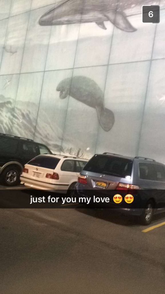 isabellaabear's tweet photo. When your friends know the deal😂😂 #lovethemanatee #bethemanatee #youarethemanatee https://t.co/mBqeo6QtIs