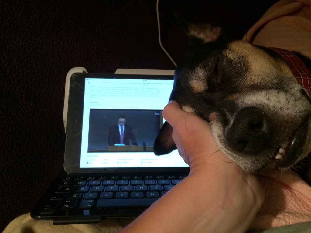 fuzzlaw's tweet photo. My dog is joining us. I won't live tweet her snoring...#afam162 https://t.co/5E01pK5SM4