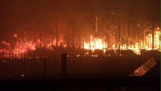 BienQuerida's tweet photo. Noche larga y triste en Asturias. ¿Cómo puede alguien hacer esto de manera intencionada? https://t.co/usJ7tEA8Ki
