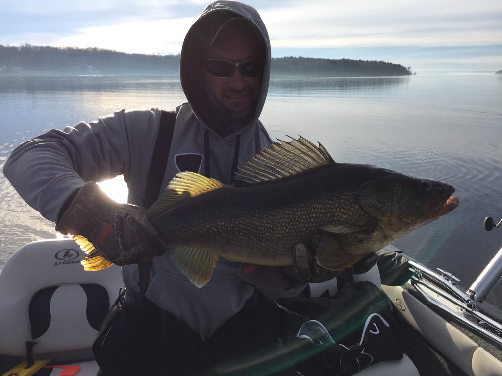 ang33ca's tweet photo. Thought I'd share a few more cool pics of last weeks gold rush! Enjoy! @OLosiggio @johnnyangler @BAY_OF_QUINTE https://t.co/9AS2kvgugC