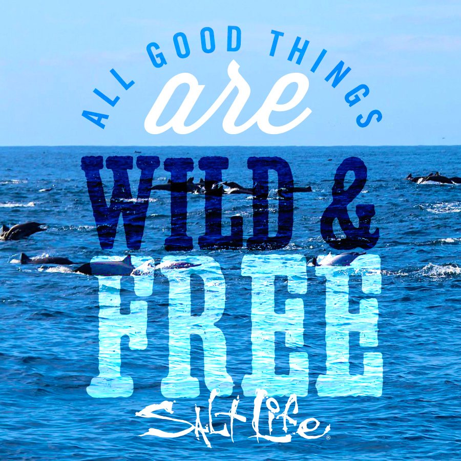 Be wild and free!!

#SaltLife