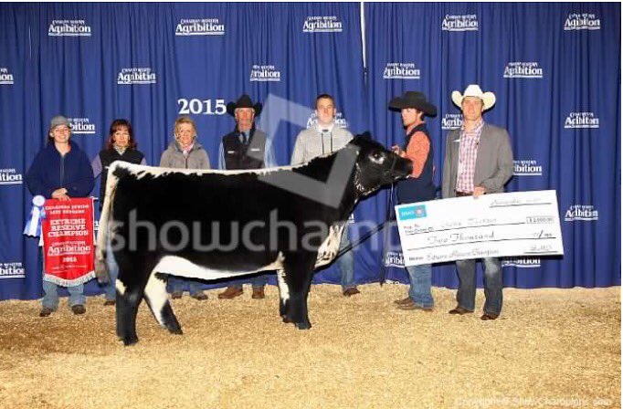 Here is the heifer that I am so proud of caught ya look sire walks alone embroys coming this summer