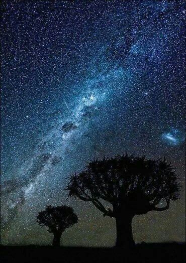 Ecogranjero's tweet photo. Cielo sin contaminación https://t.co/rllSXTRLrZ