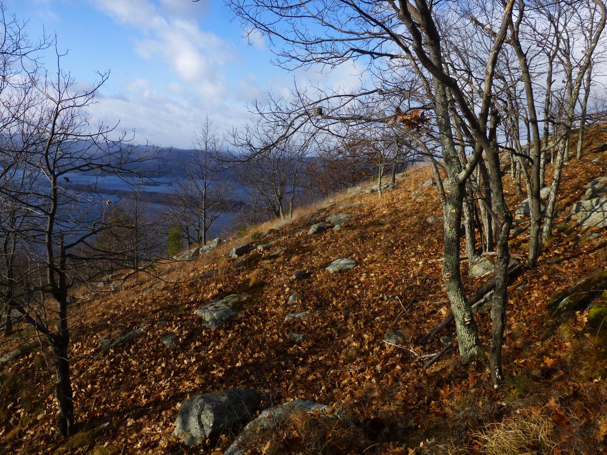 OffOnAdventure tweet picture