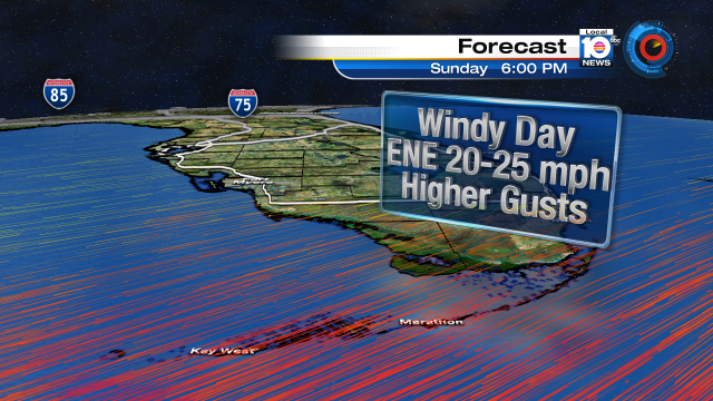 Windy Weekend for SFL as cold front brings a cool change. @TrentAricTV will have your forecast tonight at 11pm https://t.co/DLwndLAdzL