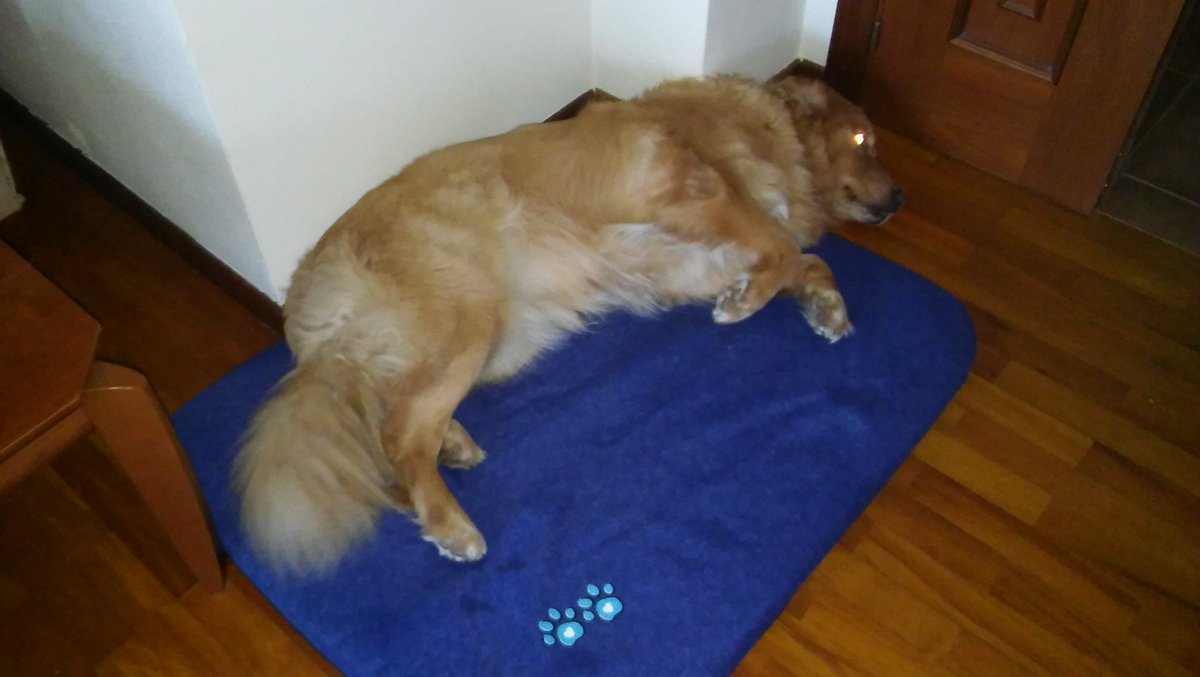 Juan Antonio Morales tweet media