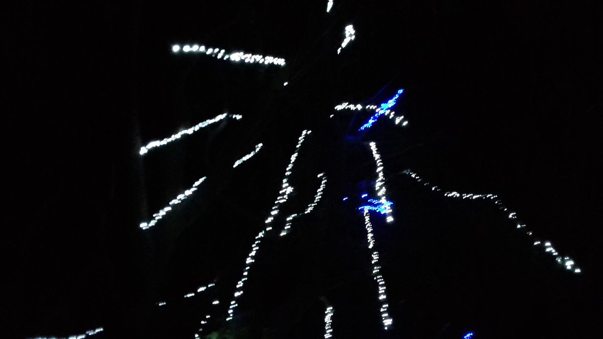 francis_n19's tweet image. #LightStrings over a tree beautiful #effect
