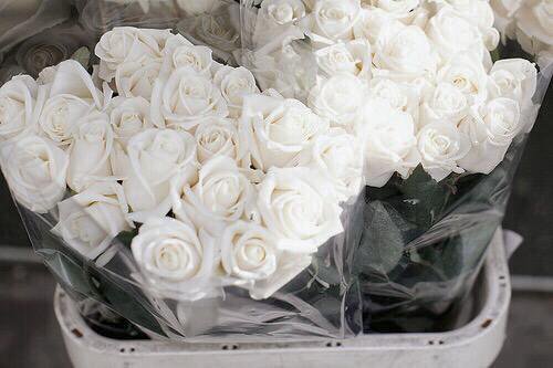 _oshot's tweet photo. 〔#ACRT08 ┊#COLORWEEK〕-Blanco
❝El blanco aporta paz, pureza y confort. Transmite sinceridad y confianza❞. @escuotp https://t.co/t7uoOL6fHb