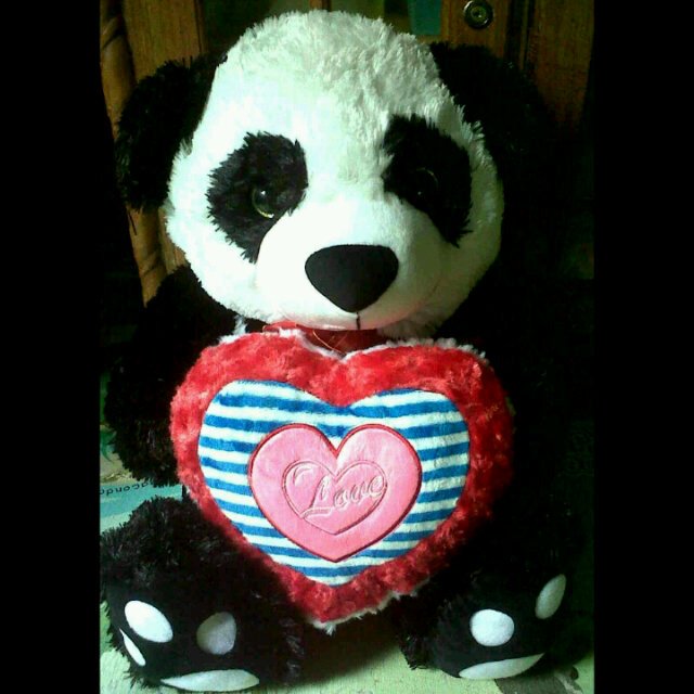 Devia_Siregar's tweet photo. Maaci panda nya sayang:* https://t.co/rG1BC6JDbY