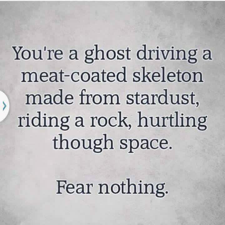 PatrickTestoni's tweet image. 