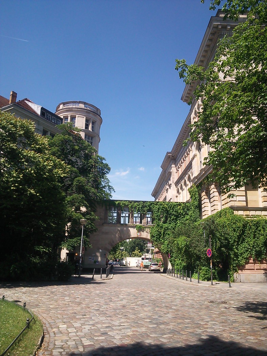 諸隈元シュタイン tweet media