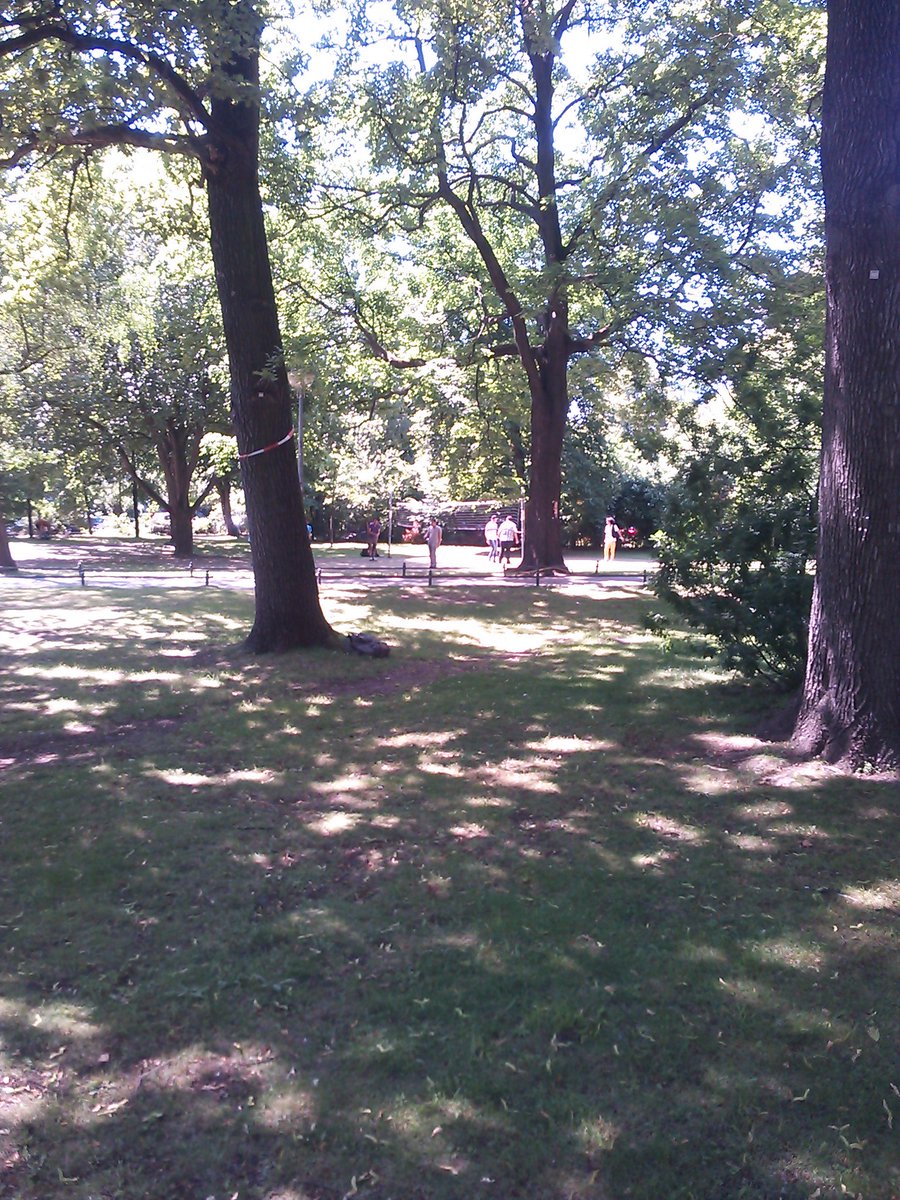 諸隈元シュタイン tweet media