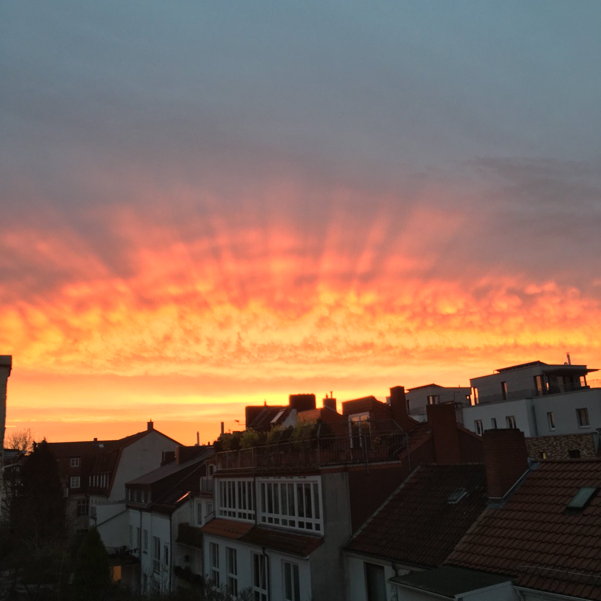 TimB_HB's tweet image. #Bremen jetzt.