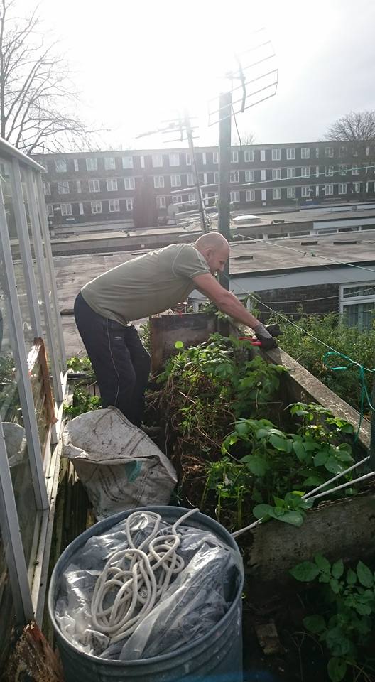 andy_vauxhall's tweet image. working on the roof #garden replacing rotten #planters with #coldframes the new vegetable patch