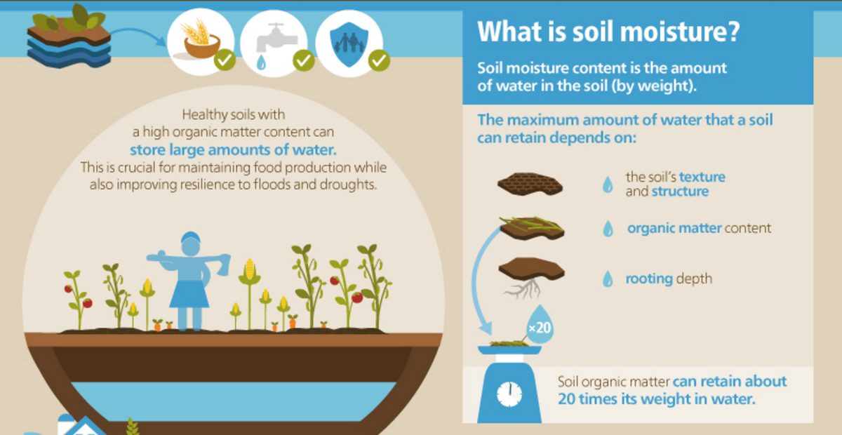 FAOKnowledge's tweet photo. #Water is "lifeblood" of agriculture. Importance of soil moisture for #foodsecurity https://t.co/15ko9MfB3i #IYS2015 https://t.co/WOwj6JKdZz