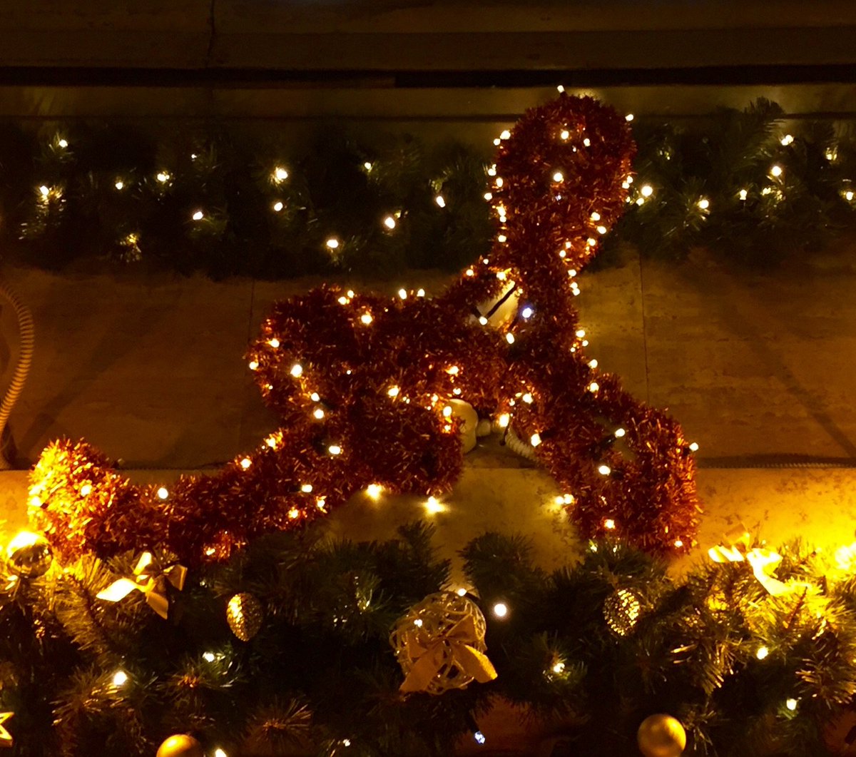 Alfredo_Scrofa's tweet photo. Christmas Time
#alfredoallascrofa https://t.co/OkvQVwiHWz