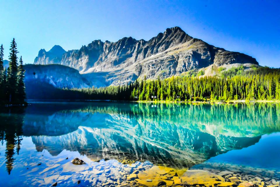 ちょろ@千葉 tweet media