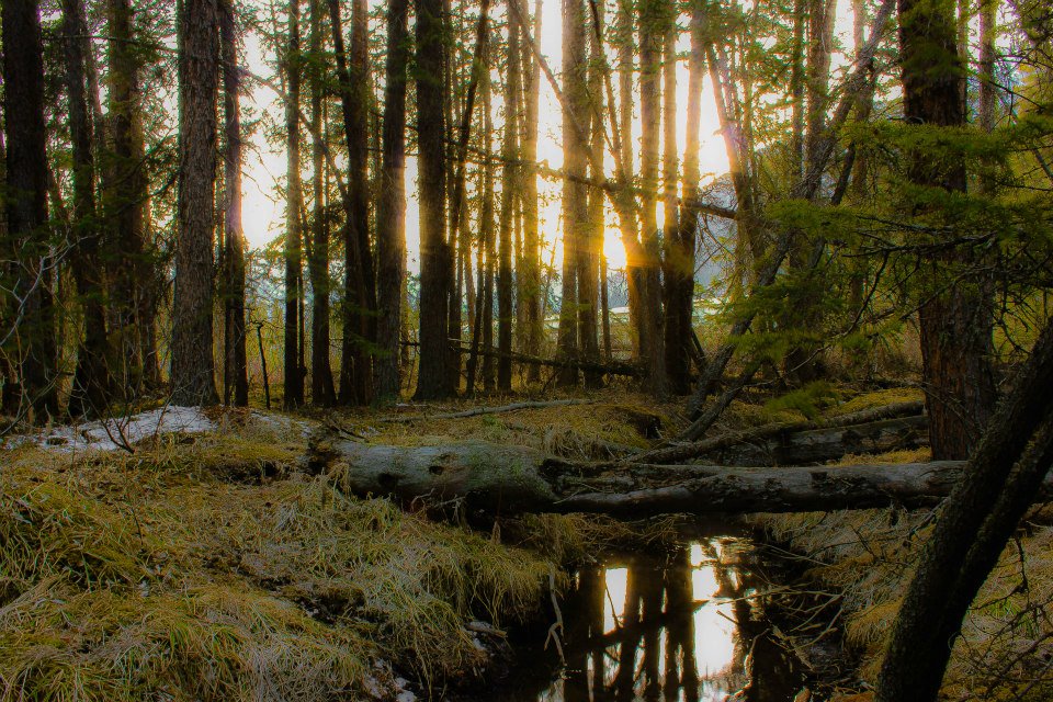 ちょろ@千葉 tweet media