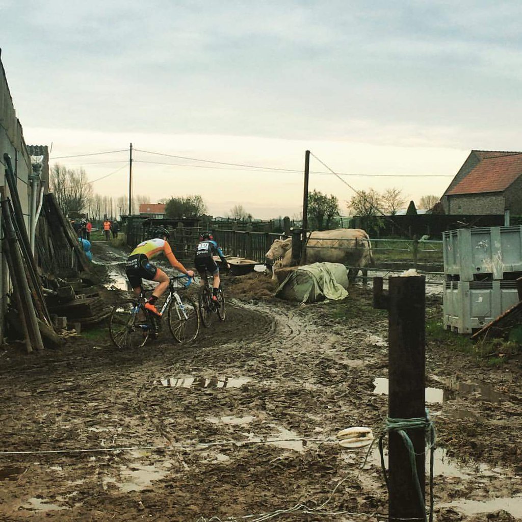 GoShiftBE's tweet image. Cyclocross in Flanders