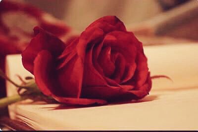 kydo55's tweet photo. نَبتَعد أحياناً كي نَرتَاح ،، فَ نَتعب أكثَر . https://t.co/DWKz3PkUrx