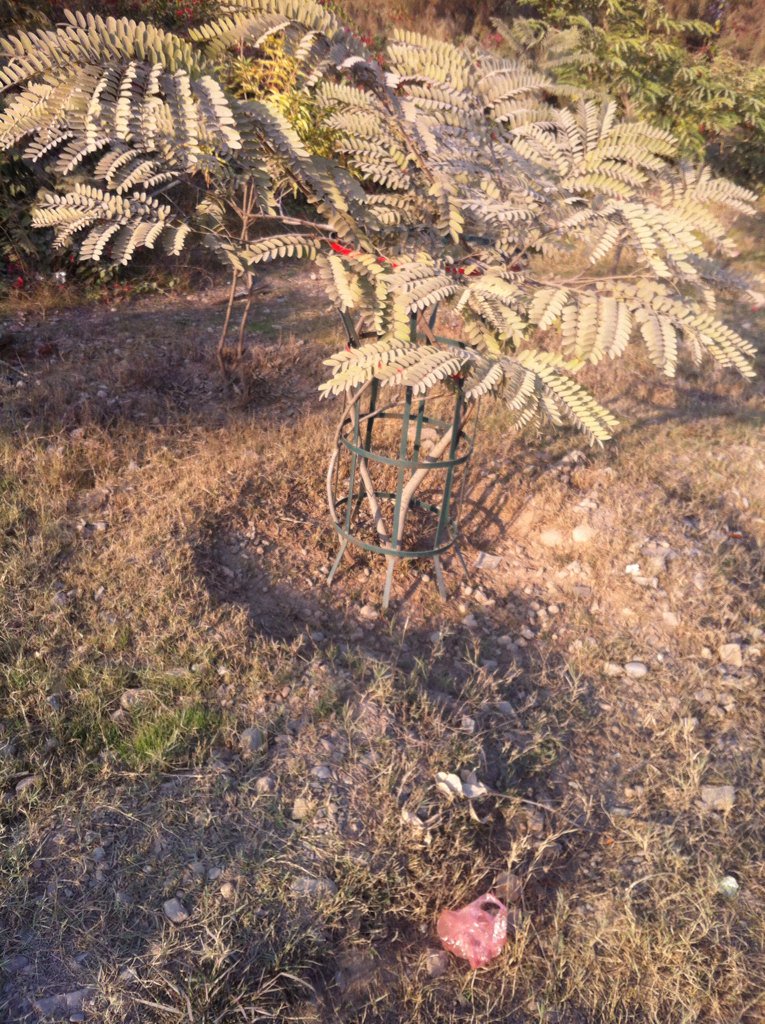 wkwazir33's tweet image. We do not just plant them " we care for them " #BillionTree tsunami KPK "
#KPonRise