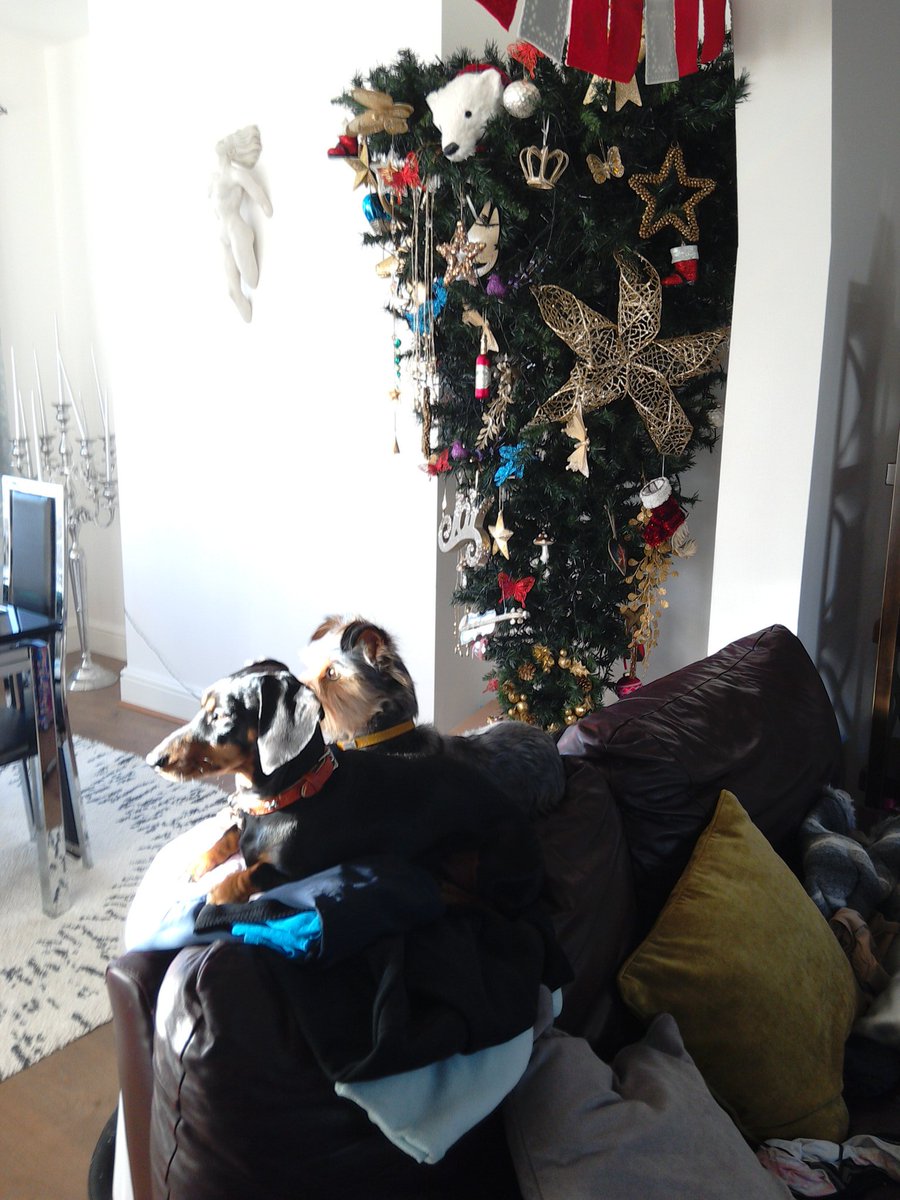 Mark and susan smith tweet media