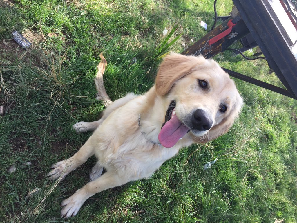 ElsaidSmart's tweet image. 