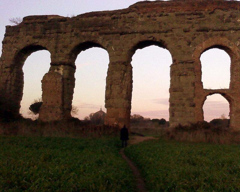 MG tweet media