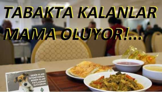 yepremreha's tweet photo. Tabakta kalanlar mama oluyor https://t.co/pMMdOPE4Yw @@HaberZili aracılığıyla https://t.co/NvyEkO9I2F