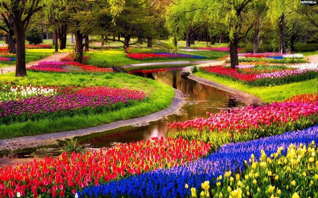 ten989's tweet photo. 💕
تساهل المليون     فوق فوق 
❤️💋امون نحبك ي ملگہ 💋❤️

#امون_مبروك_المليونيه 

@3freta_ 

🎊🎉🎊🎉🎊🎉🎊 https://t.co/VL5IFeXuZ7