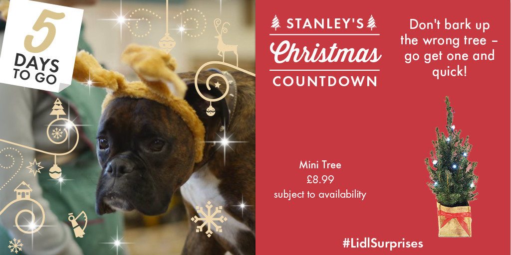LidlGB's tweet image. 5 days to go. Everyone’s pining for that Christmas smell. #SchoolOfChristmas