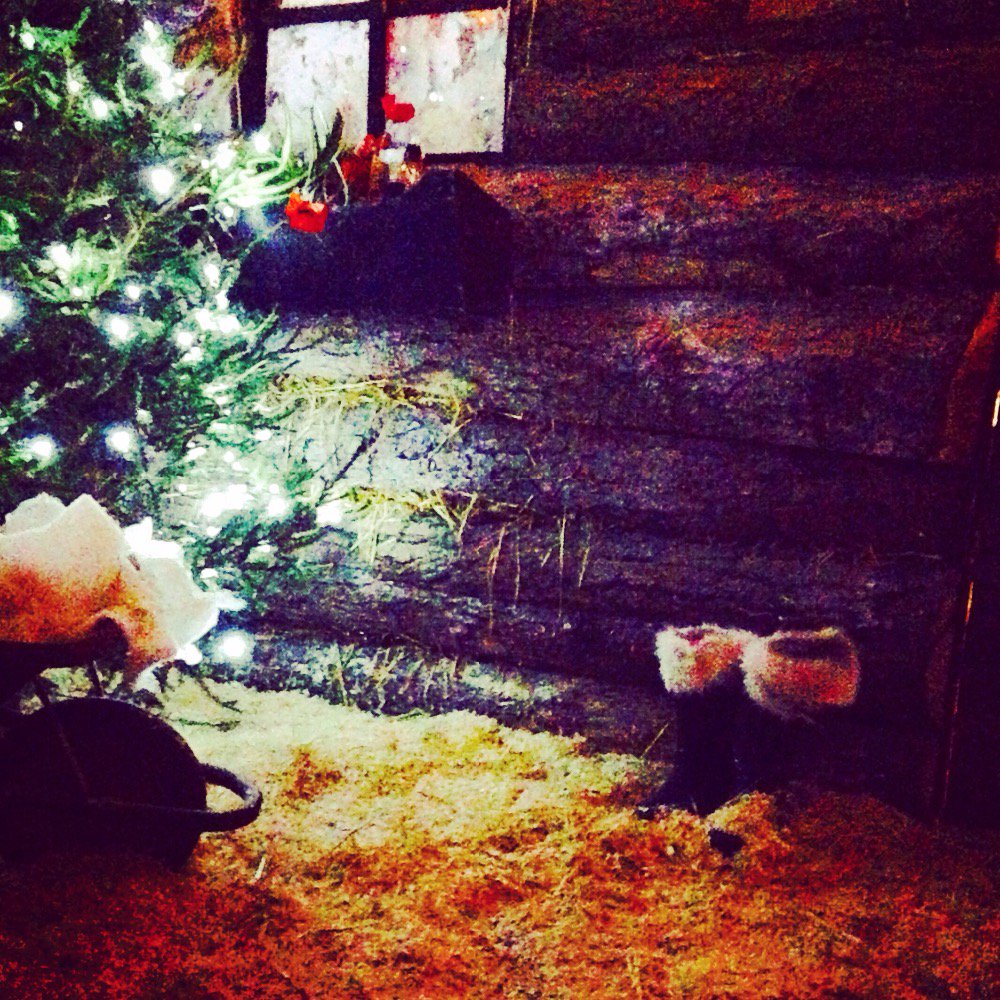 Magical grotto <a href="/LongdownFarm/">Longdown Farm</a>