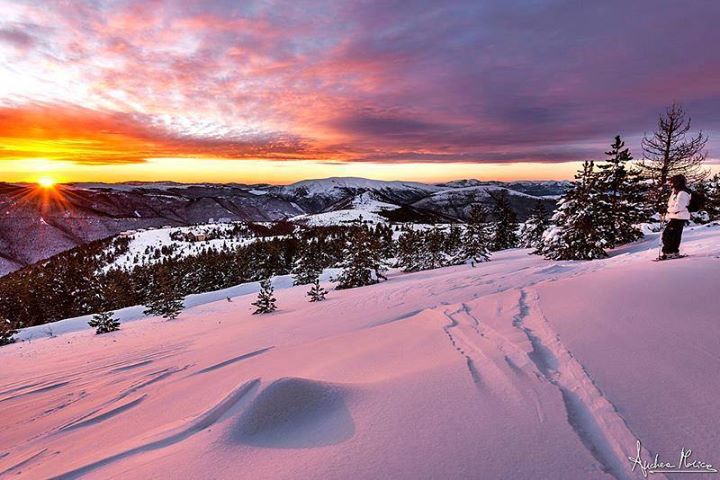 marchesitrova's tweet photo. #frontignano circondata da un panorama maestoso e #piste #sciistiche migliori delle #marche
https://t.co/S3BJdFadyy https://t.co/4xE6JJZ1CX