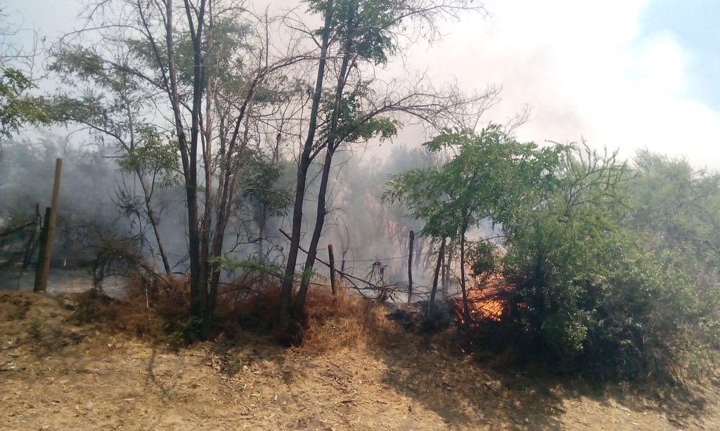 bomba2cl's tweet image. Se quema gran extensión de pasto con peligro de propagación en dos incendios en el sector de las condes @cbsantiago