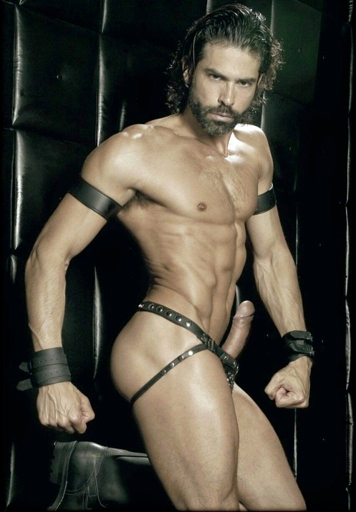 EroticGayArt's tweet photo. #HardLeather #EroticMaleNudePhoto
BEST GIFT IDEAS at FORT TROFF
#1 USA #GaySexToyStore
>> https://t.co/vNJ2LGoOD6
RT https://t.co/GYfE5EyW0f