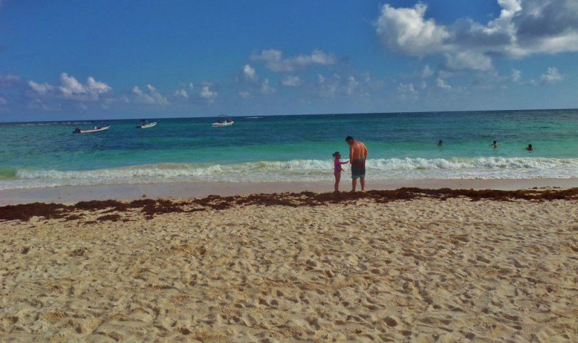 EverythingPDC's tweet photo. Xpuha is a nice public beach just south of Playa. https://t.co/o4vnZcQ83g #Riveramaya #PlayaDelCarmen #beach https://t.co/KV9vcX1ySY