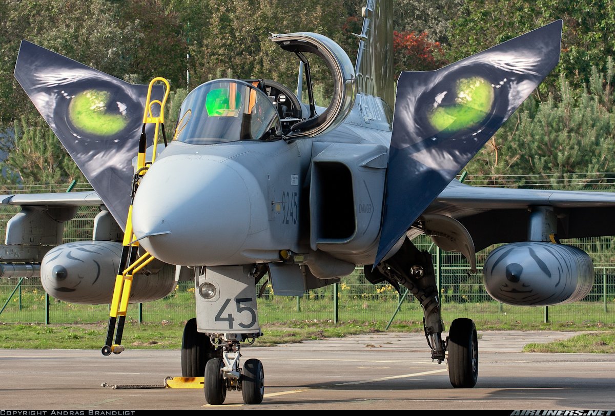 شركة Saab تعرض مقاتلتها ال Gripen على الهند بنقل كامل للتكنلوجيا  CWrJPmSWEAARdwl